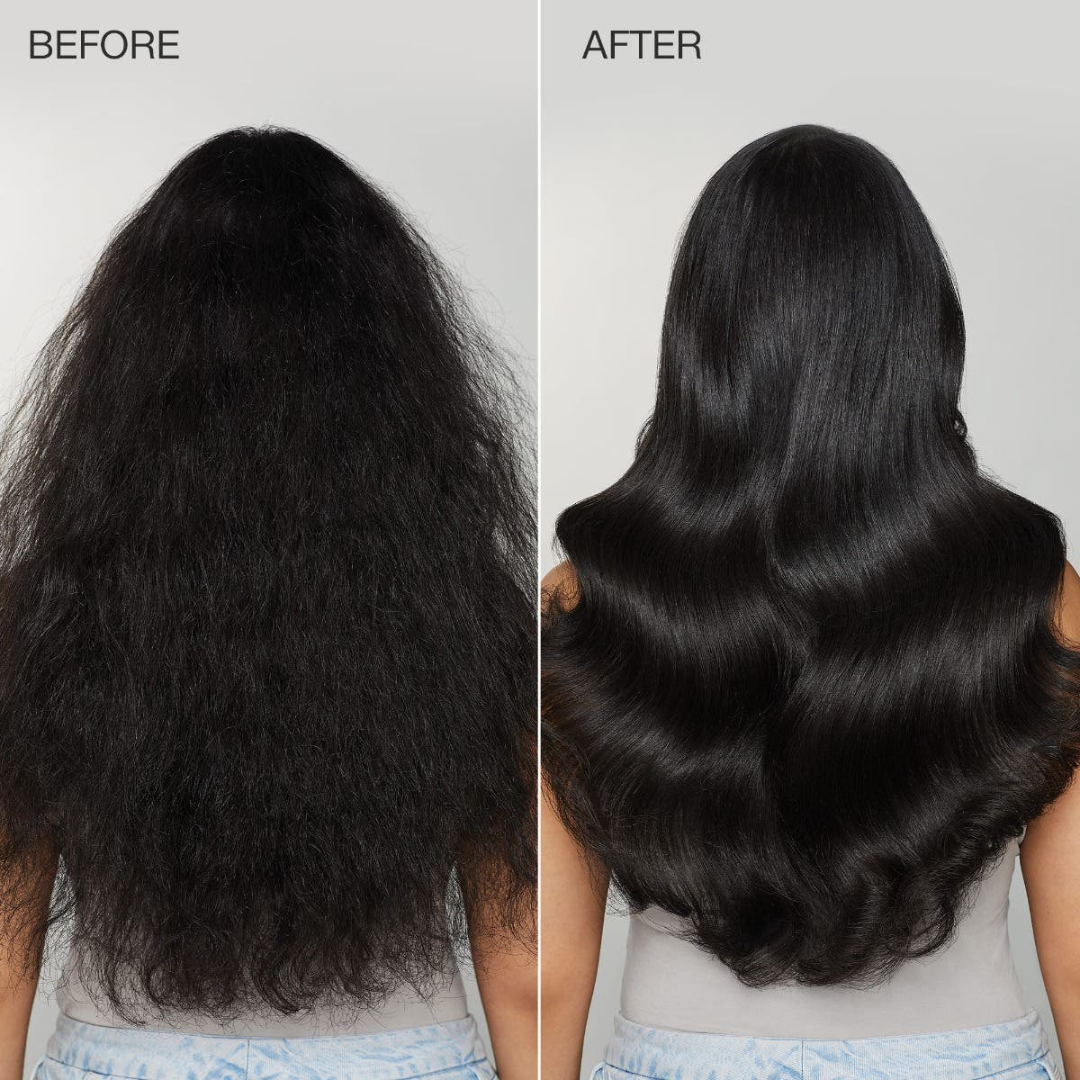 SL Basics Ginger Oil & Shampoo Duo - Reduces Hair Fall, Dandruff & Makes Hair Thicker and Softer