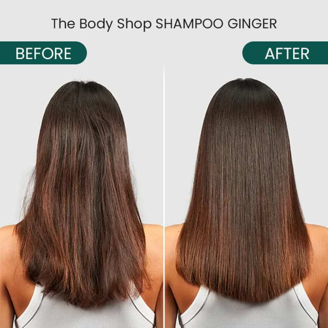 SL Basics Ginger Oil & Shampoo Duo - Reduces Hair Fall, Dandruff & Makes Hair Thicker and Softer